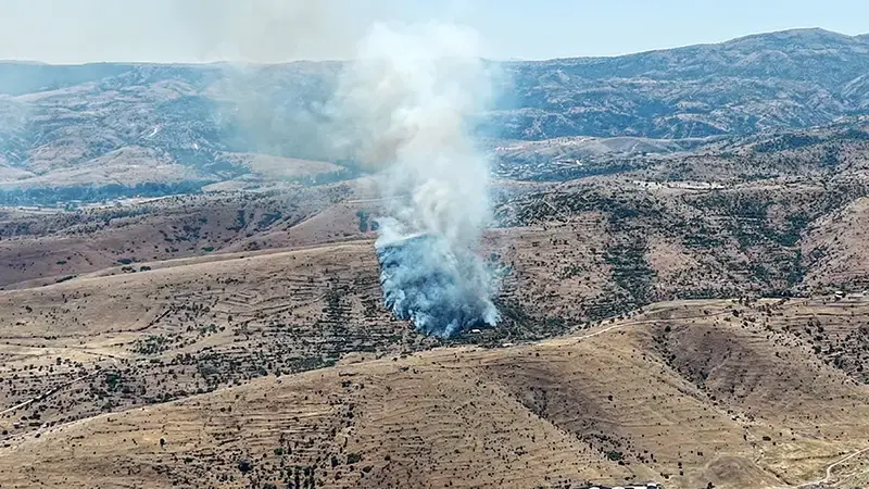 Afyonkarahisar'da orman yangını