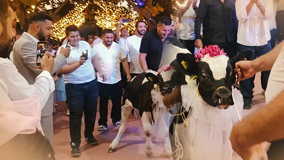 Düğün hediyesini görenler gözlerine inanamadı Kahkahalar havada uçuştu!