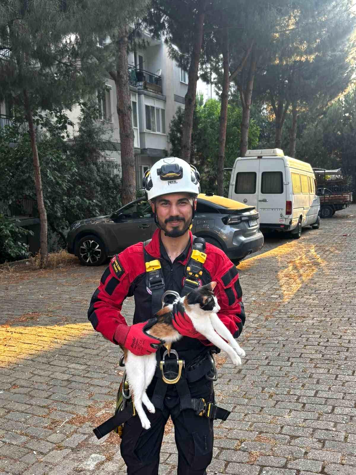 Üç gündür ağaçta mahsur kalan kedi kurtarıldı