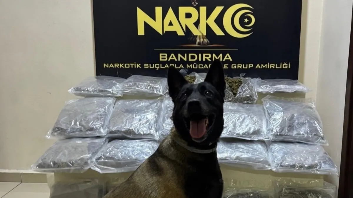 Gübre torbalarının altından zehir çıktı! 11,2 kilo skunk'a 'dark' geçit vermedi