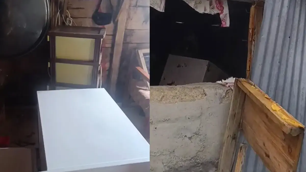 Rize'de ayı paniği! 20 eve girdi, vatandaşları canından bezdirdi