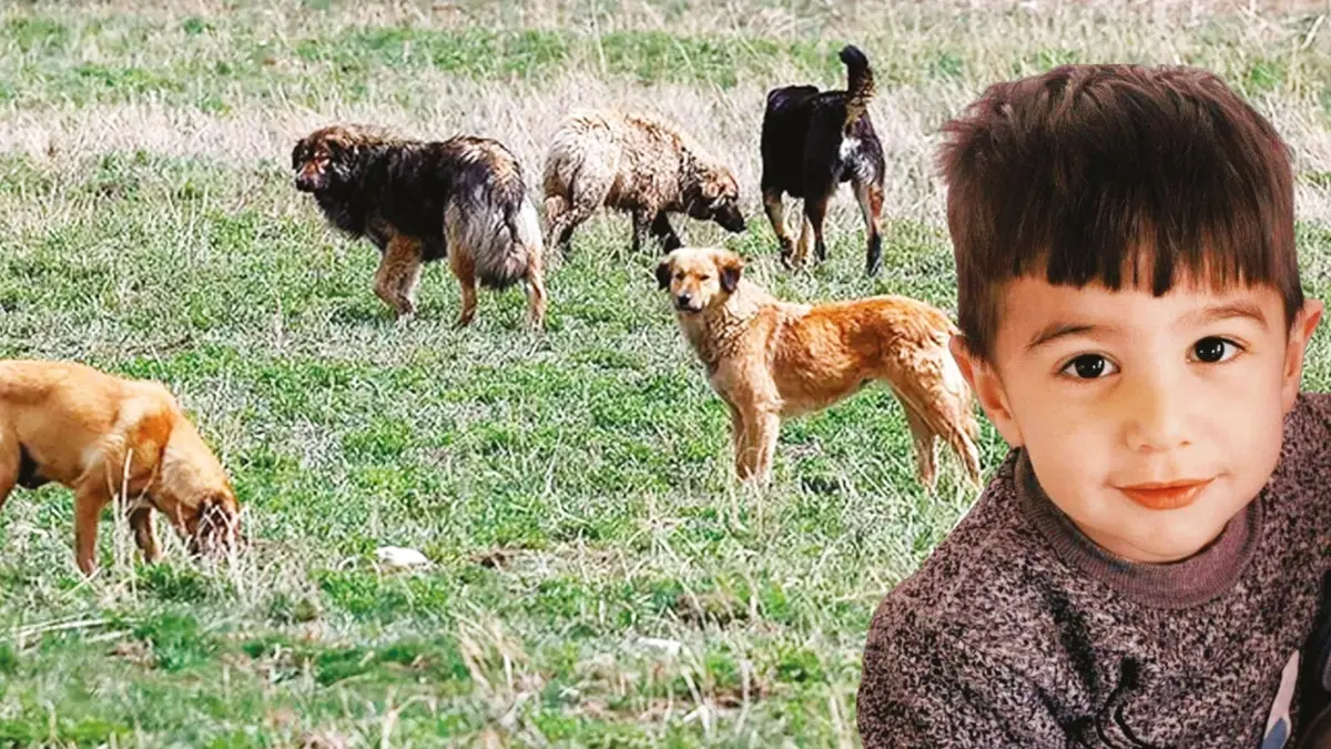 Köpek saldırısında Başkana soruşturma