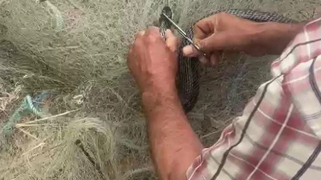 Balık ağına takılan yılanı tek tek keserek kurtardı!