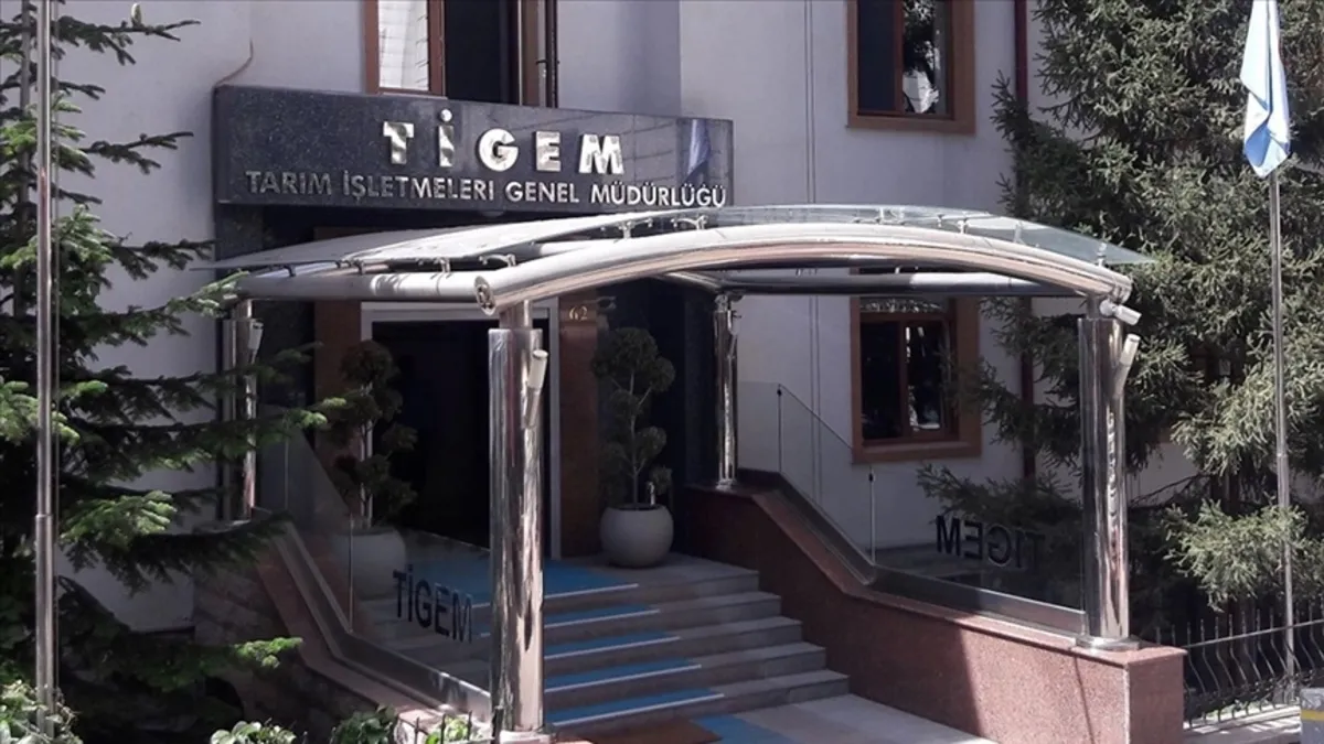 TİGEM 34 safkan Arap koşu tayı satacak