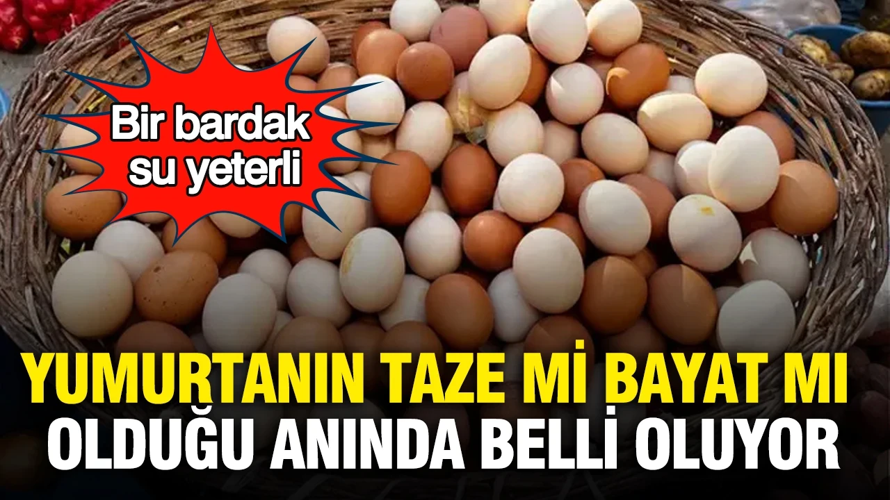 Bir bardak su yeterli: Yumurtanın taze mi bayat mı olduğu anında belli oluyor