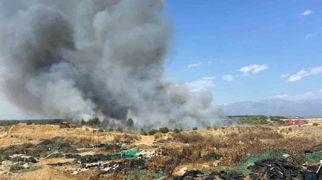 Aksu'da orman yangınına havadan ve karadan müdahale