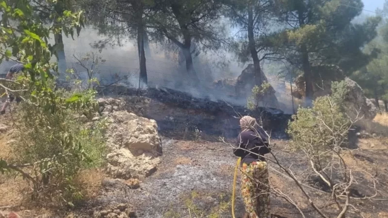 Kahramanmaraş’ta orman yangını! Alevler 1 saatte kontrol altına alındı