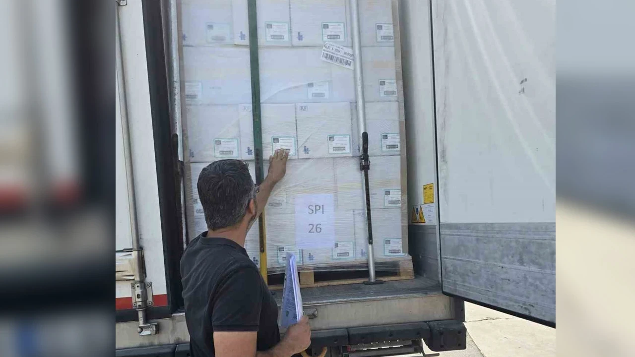 Didim’den İngiltere’ye balık ihracatı: Levrek ve çipura yola çıkıyor