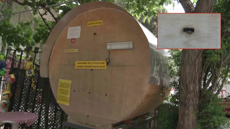 Kadıköy’de ilginç görüntü: Bakkalın önünde dev bal kovanı