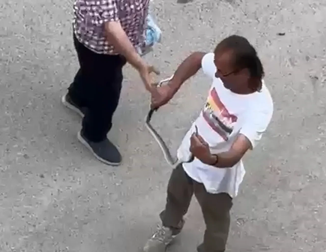 Paniğe neden olan yılanı çıplak elleriyle yakaladı