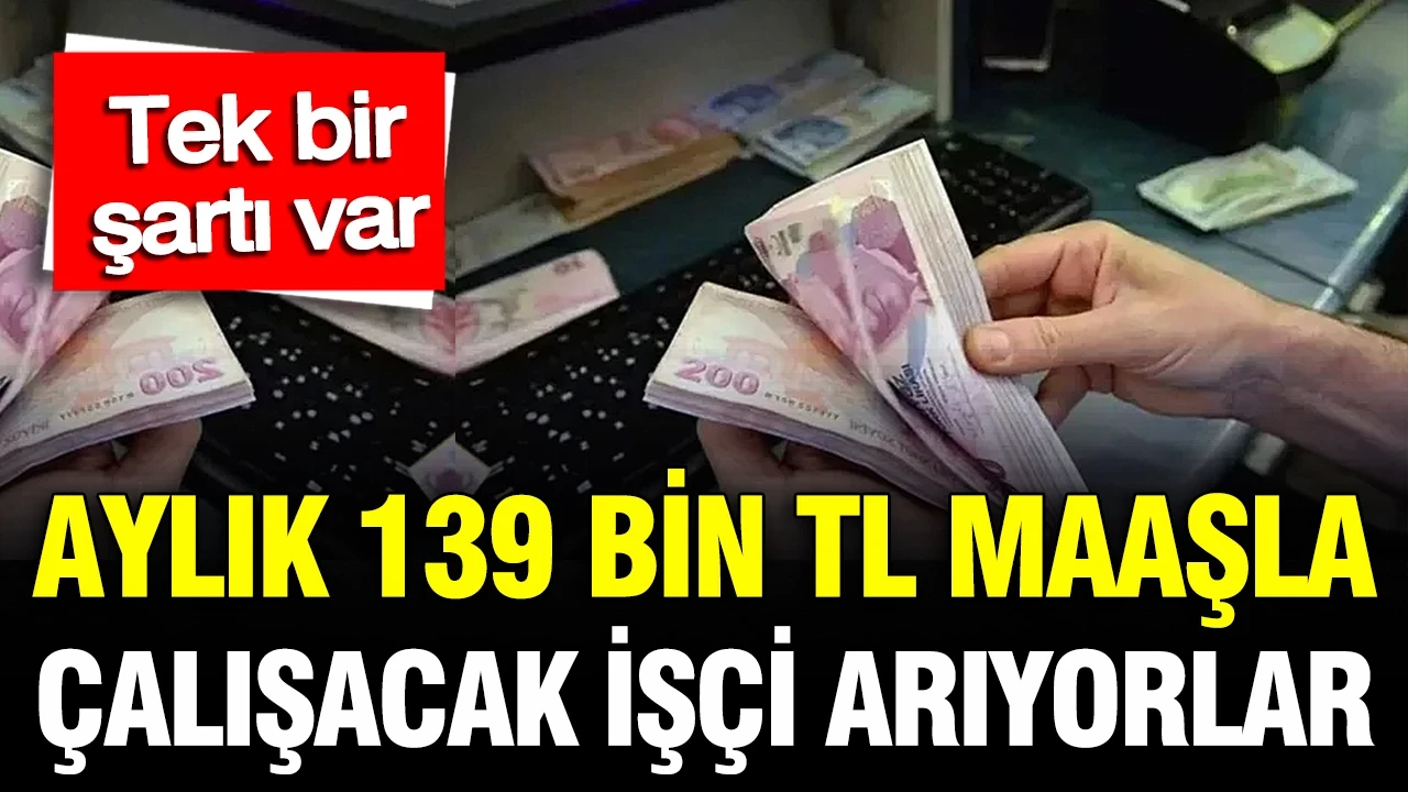 Ayda 139 bin TL maaşla çalışacak işçi arıyorlar: Tek bir şartı var