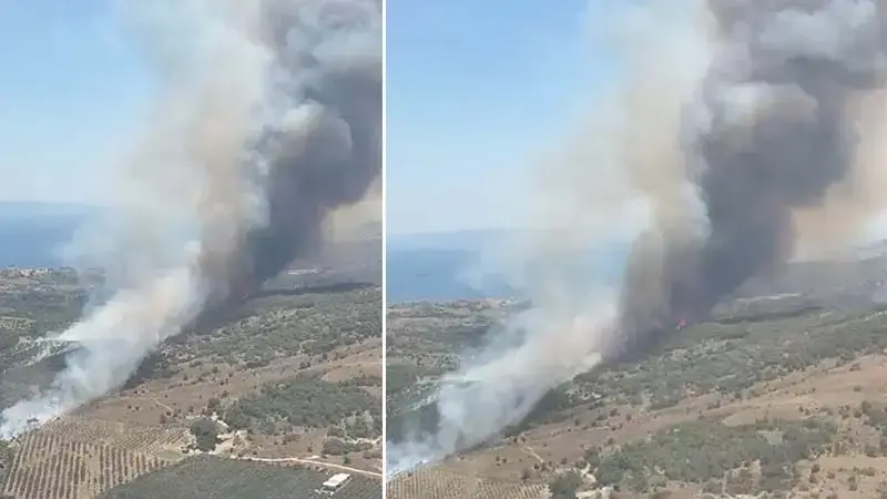 İzmir'de maki yangını