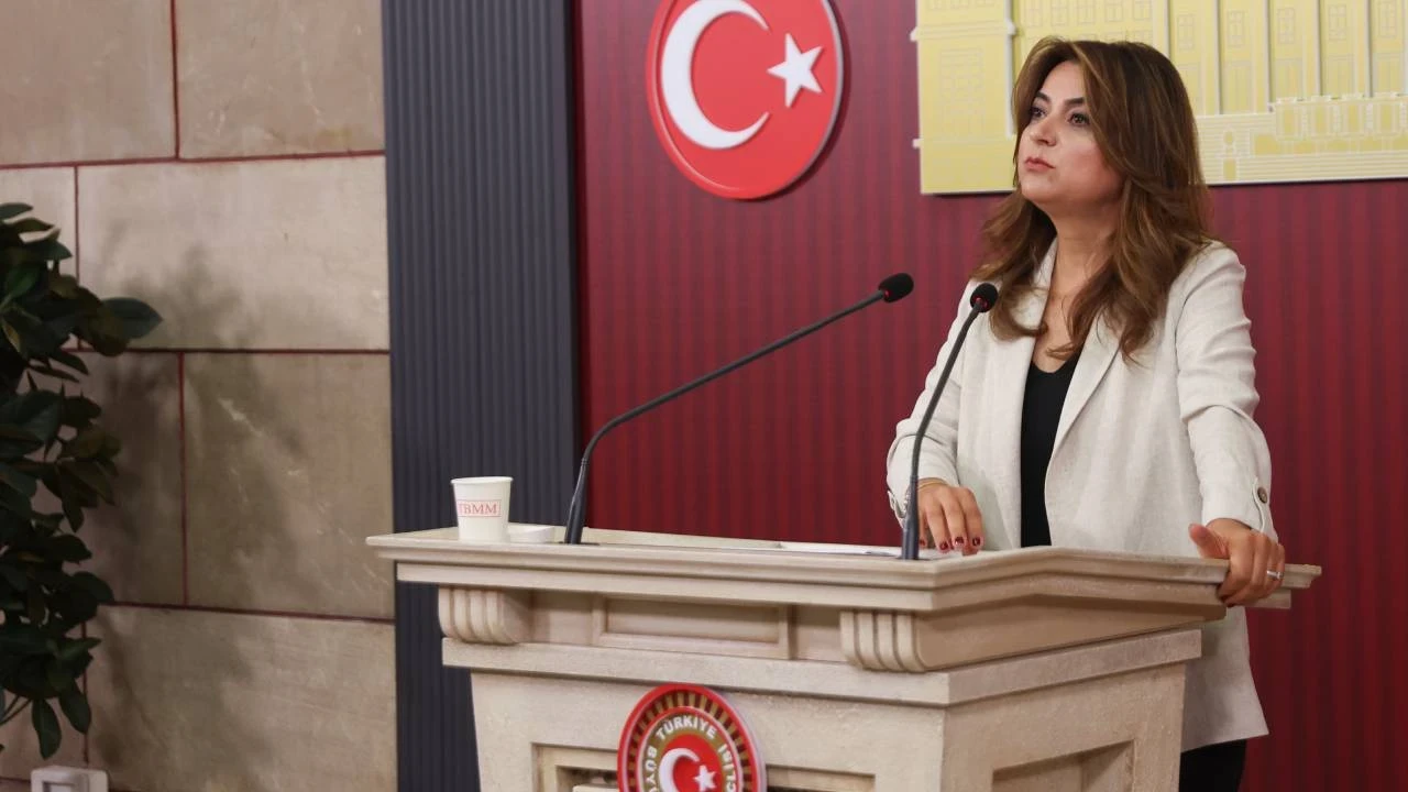 DEM Parti: Meclis'te 'barış izleme ve takip kurulu' kurulmalı