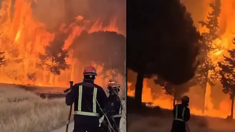 İspanya'da orman yangınları nedeniyle yaklaşık 60 bin kişi tahliye edildi