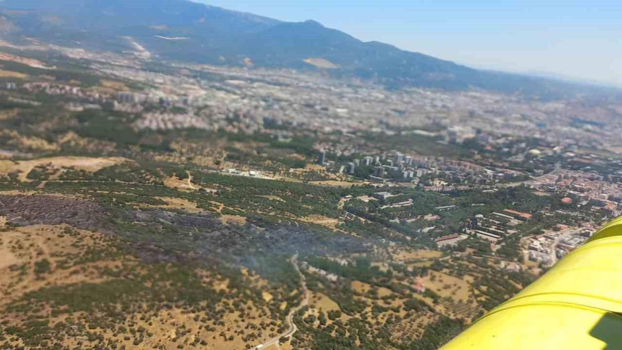 Bornova'daki orman yangını kontrol altına alındı
