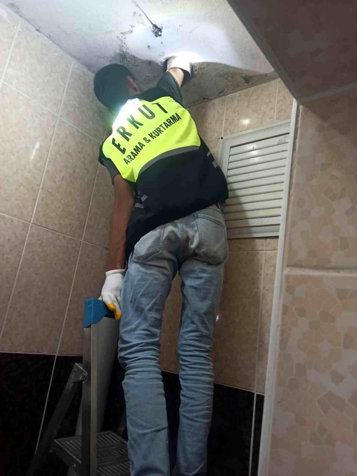 Siirt'te lavabo borusuna sıkışan yavru kedi kurtarıldı