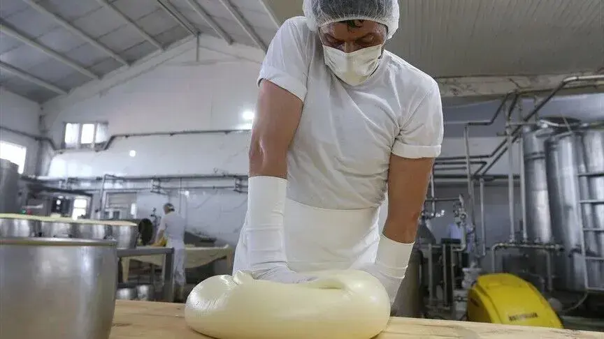 Kars'ta yıllık yaklaşık 19 bin ton coğrafi işaretli kaşar ve gravyer peyniri üretiliyor