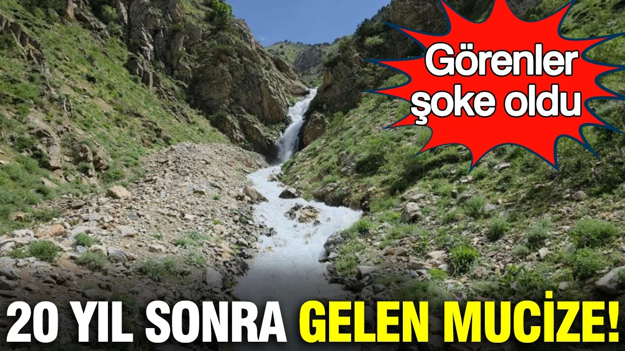 20 yıl sonra gelen mucize: Tekrar hayat bulduğunu görenler şoke oldu