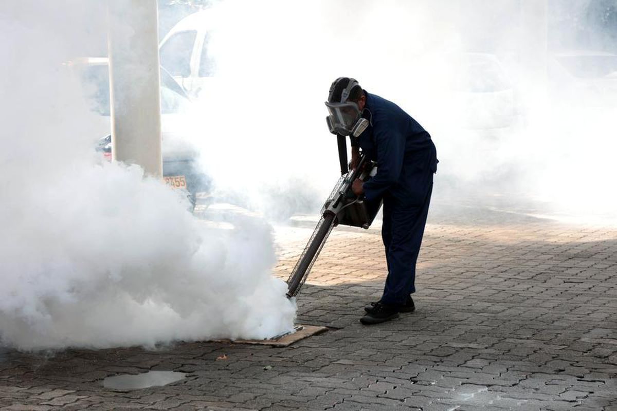Albüm: Sri Lanka'da Dang Hummasıyla Mücadele Kapsamında Denetimler Artırıldı