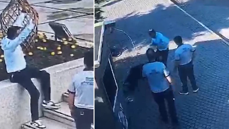 Manisa'da köpeğe ve güvenliğe saldıran şüpheli tutuklandı
