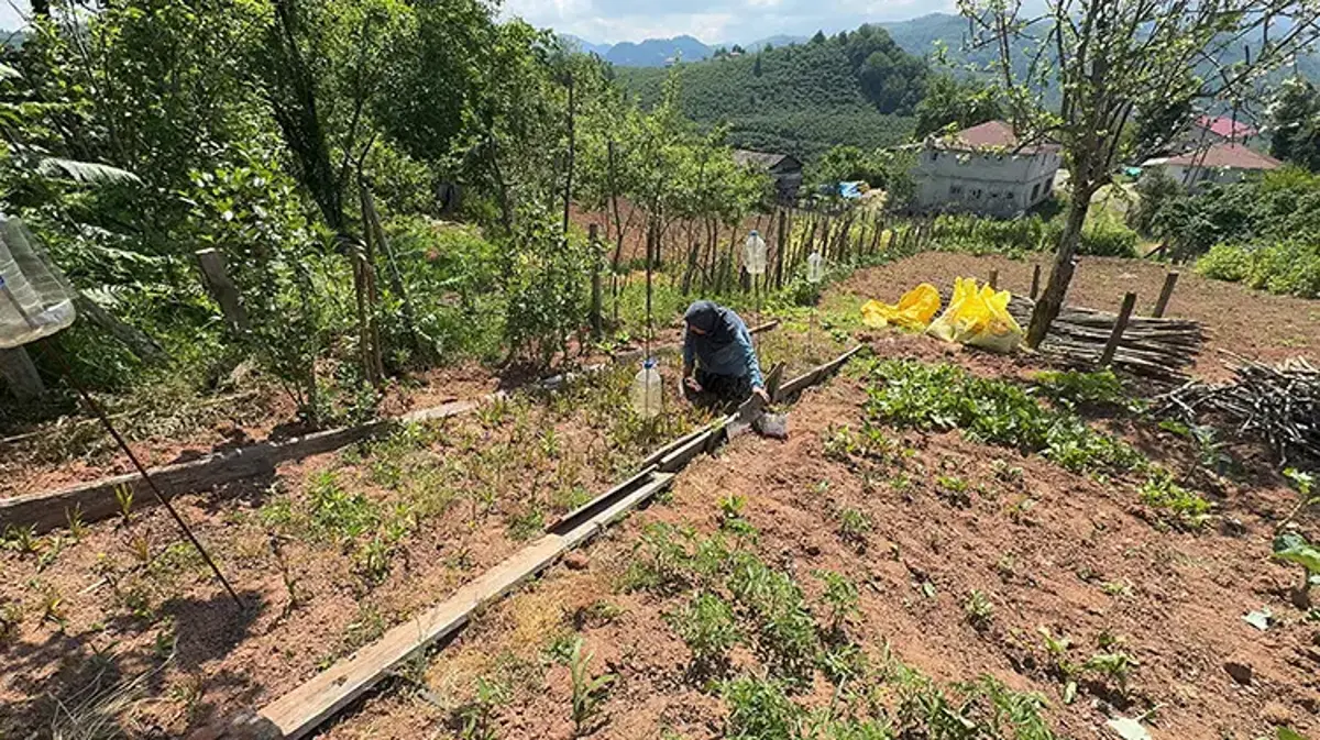 Giresunlu ev hanımı telefonuna bakarken hayatının fırsatını buldu: Şimdi talebe yetişemiyor!