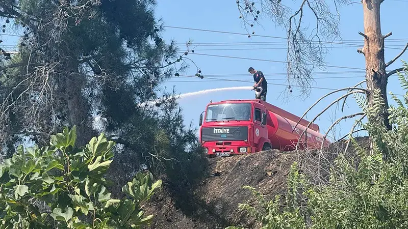 Antalya'da 2 orman yangını