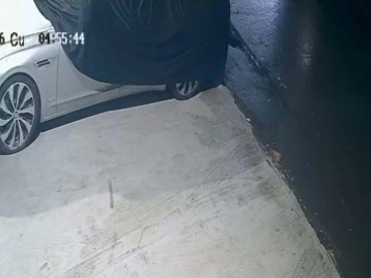 İstanbul'da lüks otomobilin 400 bin liralık altın amblemini çaldı: Şüpheliyle aynı kıyafeti giymişiz