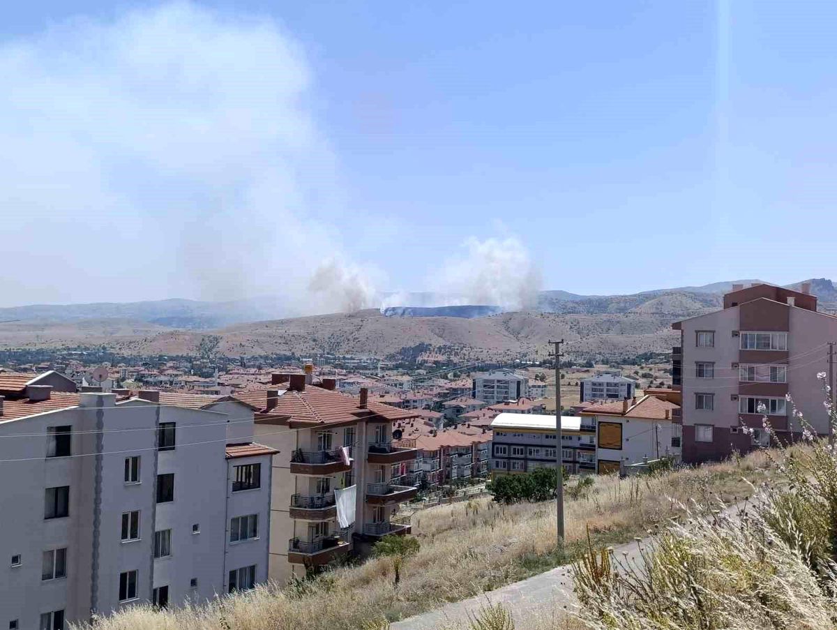 Afyonkarahisar'da otluk alanda çıkan yangına havadan ve karadan müdahale sürüyor