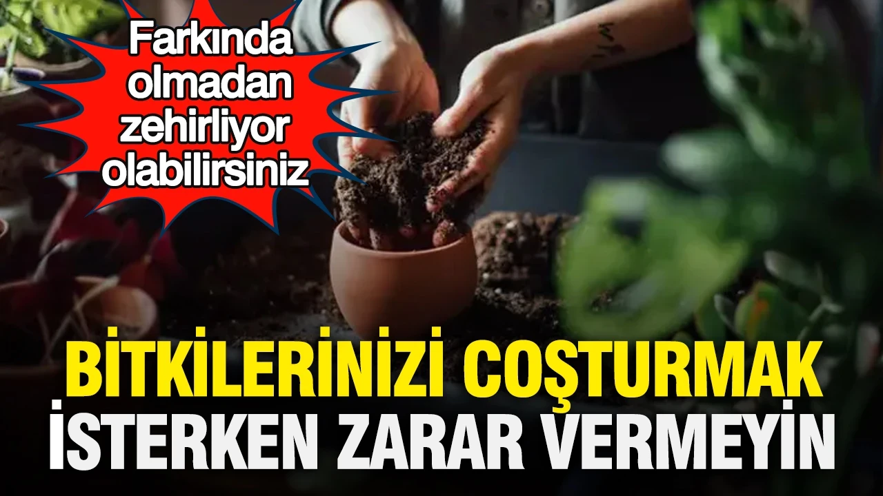 Bitkilerinizi coşturmak isterken zarar vermeyin: Farkında olmadan zehirliyor olabilirsiniz