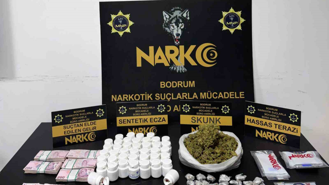 Muğla’da 3 bölgesel suç örgütü çökertildi