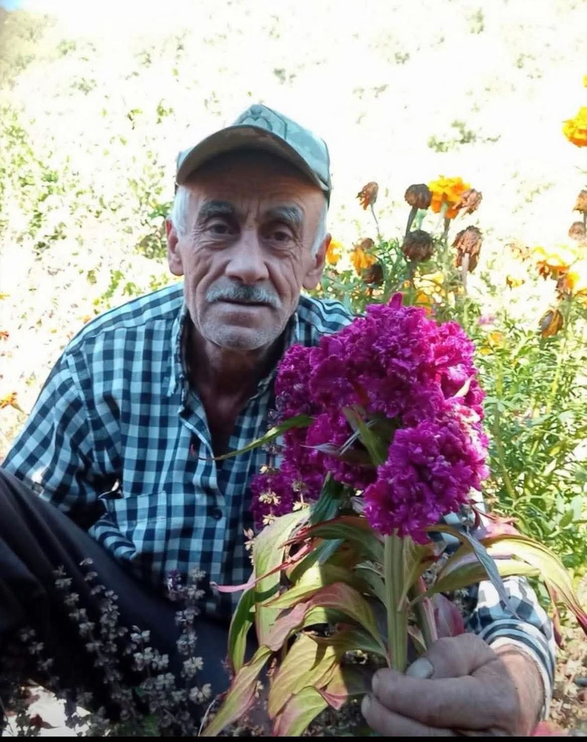 'Tarlaya gidiyorum' diye evden çıktı, evinin yakınındaki bahçede baygın bulundu
