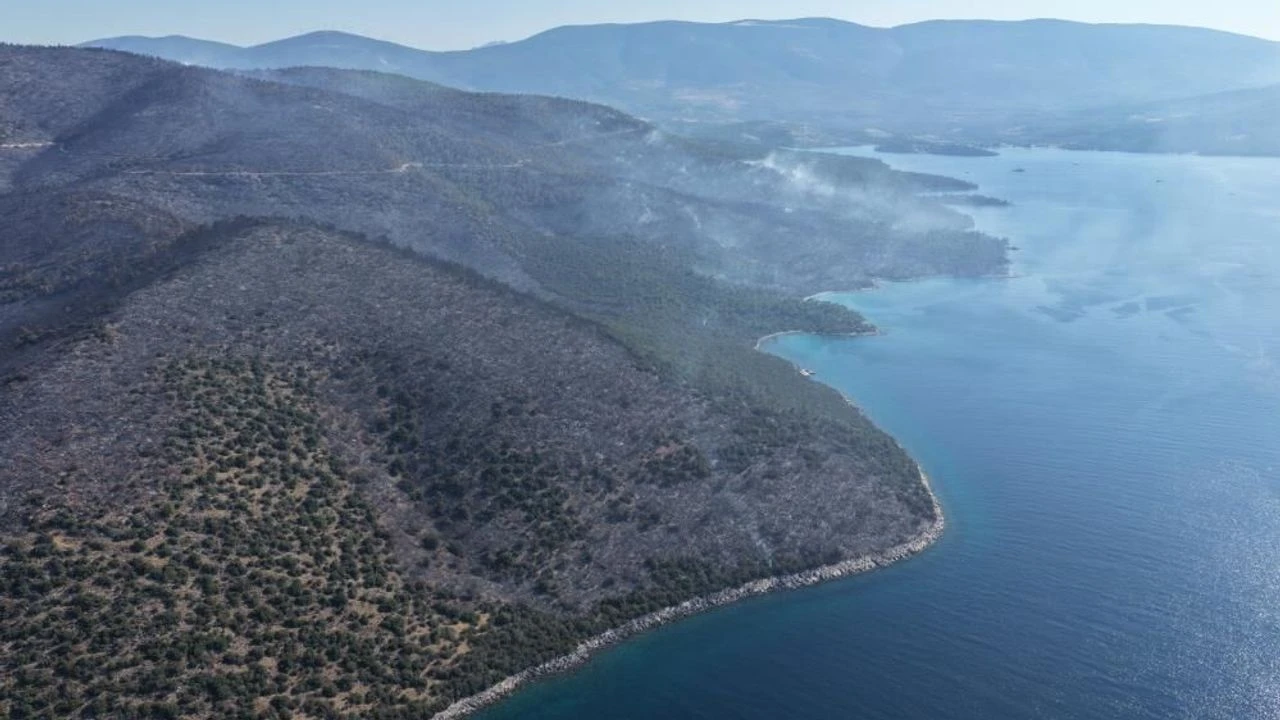 Cennet koylar küle döndü! Milas'ta alevler denize kadar ulaştı