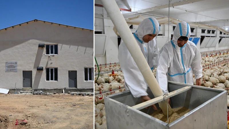 Çocukluk hayallerini gerçeğe dönüştürdüler: Bakanlık destek verdi genç girişimciler üretime başladı
