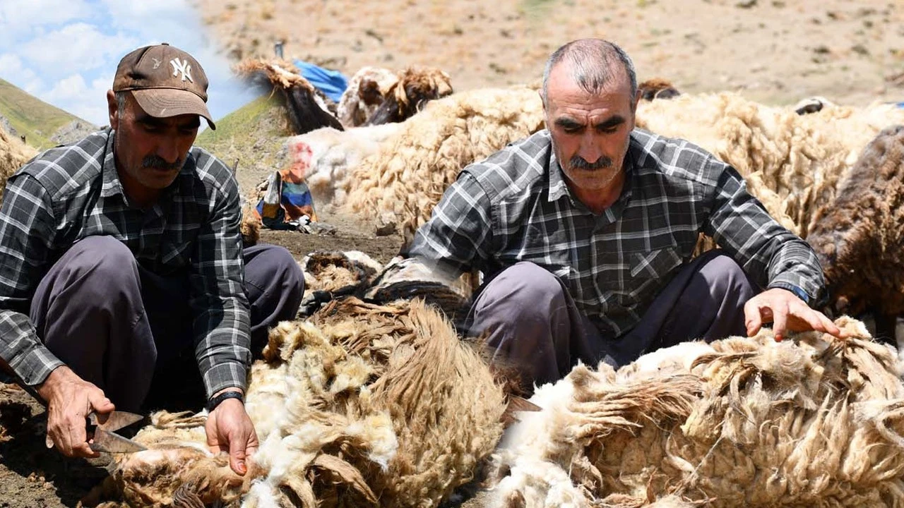 Şırnak'ta beklenen mesai başladı! Bu sene günde 2.000 TL de üstü kazanacaklar