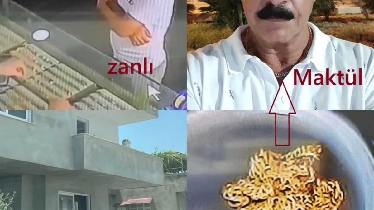 İşte cesetsiz cinayetin cezası! Jandarma birkaç damla kandan çözdü