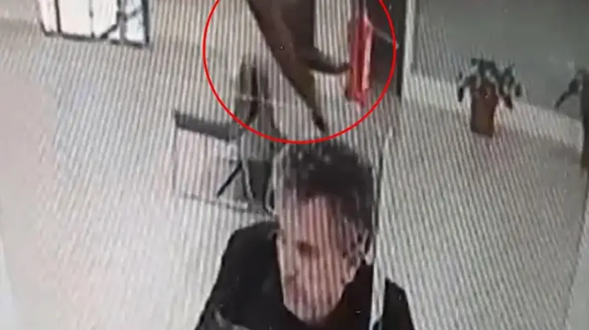 Banka şubesinde işlem yaparken üzerine kedi düştü