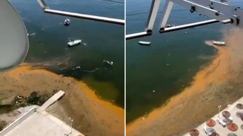 Gemlik Körfezi’nde müsilaj alarmı: Yeniden ortaya çıktı