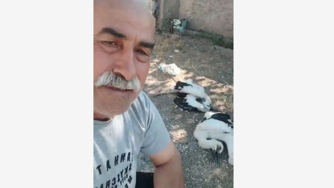 Bahçesindeki leylekler telef olunca gözyaşlarına hakim olamadı