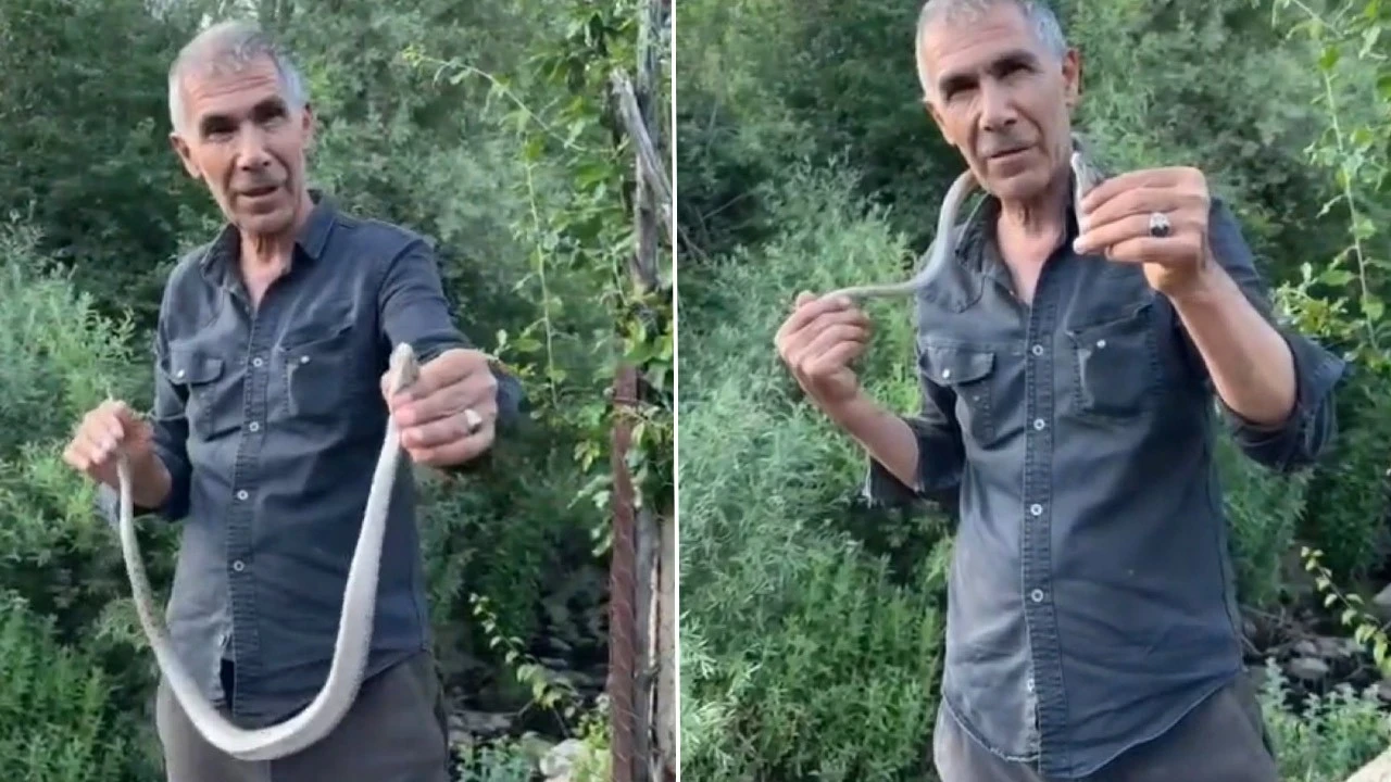 Bingöl'de hayrete düşüren hareket! Doğada tutup boynuna doladı: Sakın yapmayın