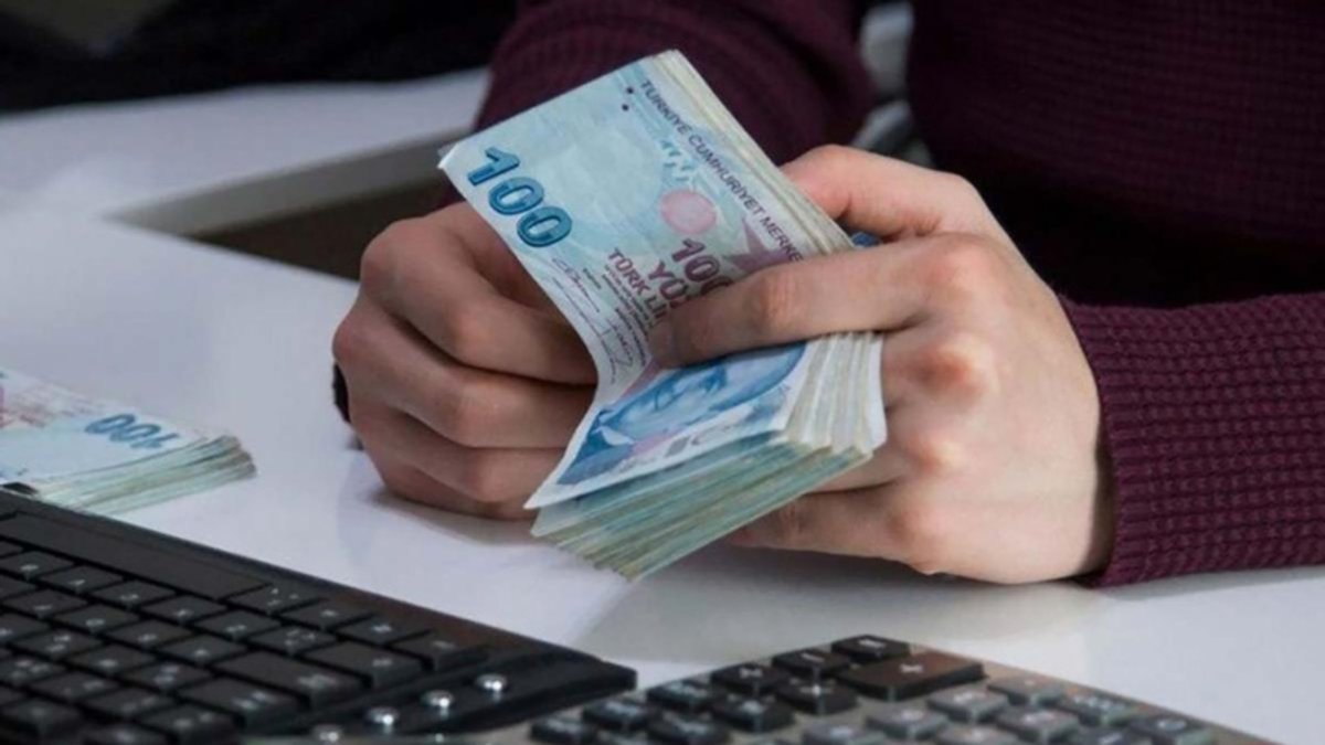 Unuttuğunuz paranızı geri alın! e-Devlet şahıs ödemeleri sorgulama ekranı