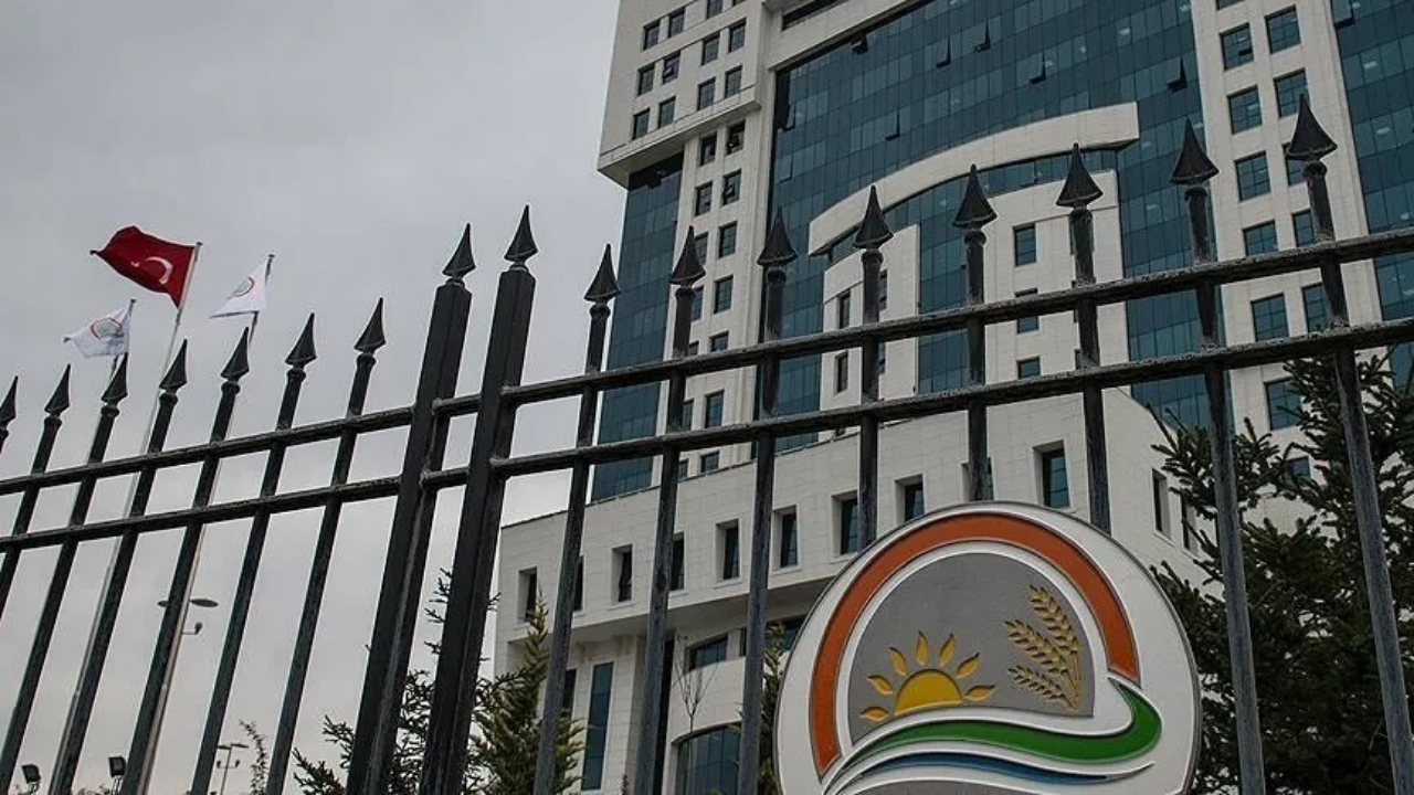 Tarım ve Orman Bakanlığı duyurdu: Kamuoyuna yansıyan beyaz peynir toplatıldı