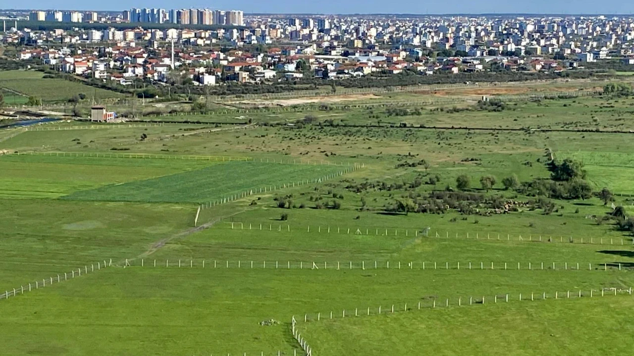 Özelleştirme İdaresinin bazı taşınmaz satışları onaylandı