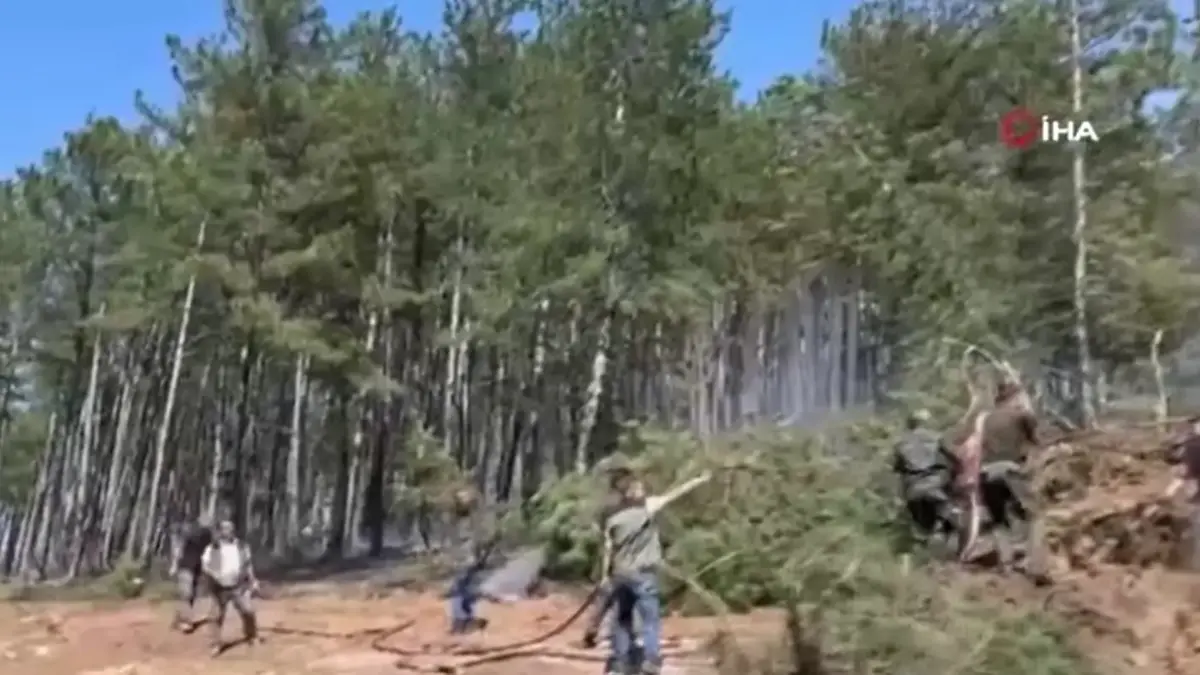 Kastamonu'da orman yangını: Alevlere havadan ve karadan müdahale edildi