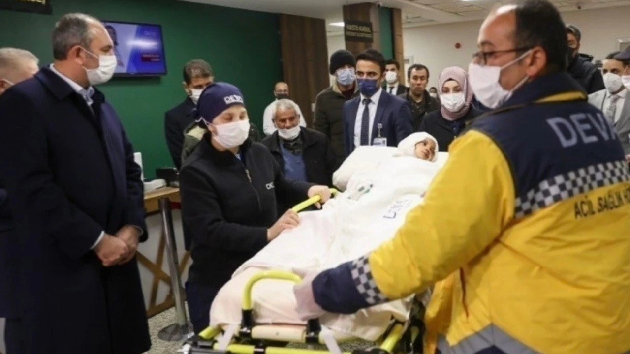 Çocuğa saldırmışlardı: Pitbulllar silah sayıldı
