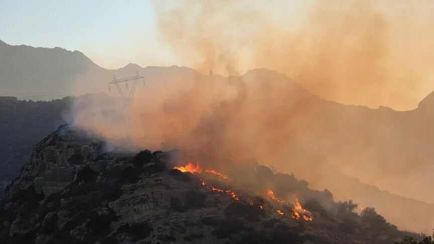 Girit Adası'nda orman yangınları başladı