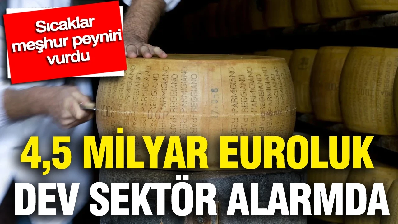 4,5 milyar euroluk dev sektör alarmda: Sıcaklar meşhur peyniri vurdu