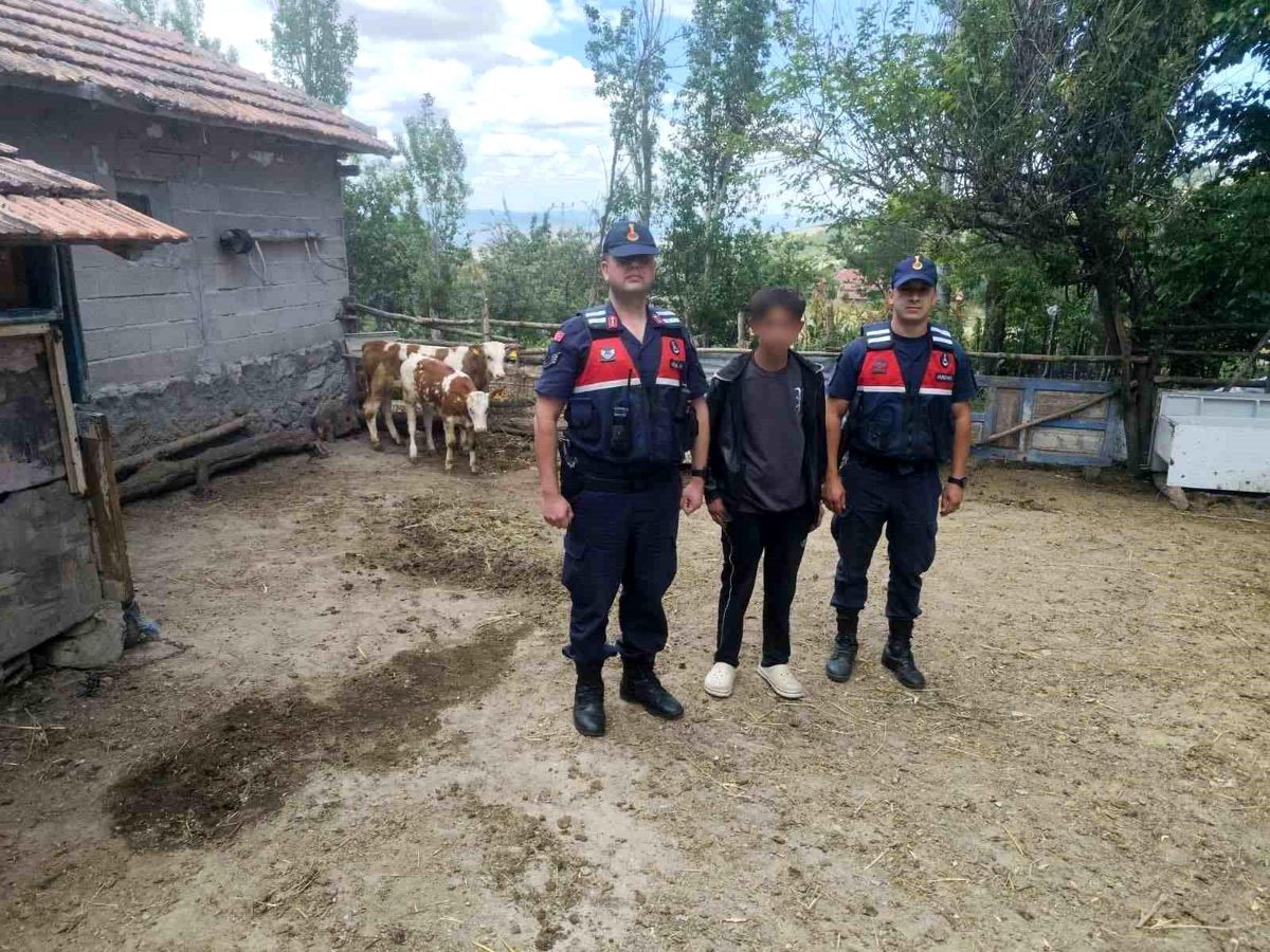 Hayvanlarını kaybeden çiftçinin yardımına Jandarma ekipleri koştu