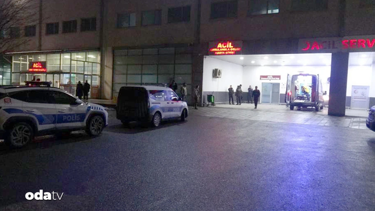 'Dut ağacı' kavga çıkardı