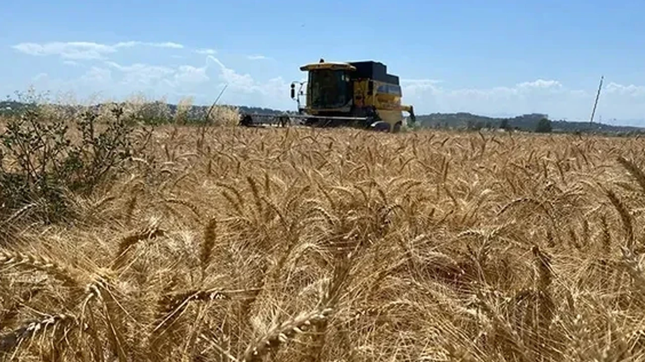 Tahıl rotası değişiyor mu? Rusya için alternatif yolları değerlendiriyor