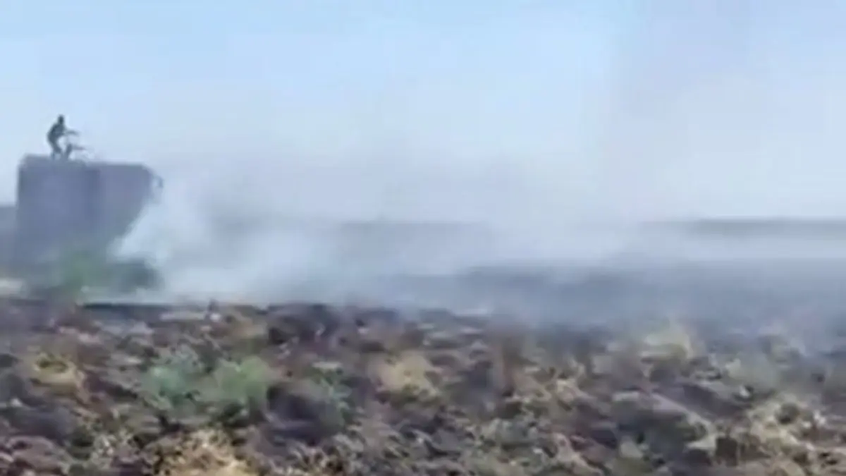 Mardin’deki anız yangını kontrol altına alındı